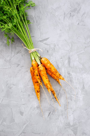 Bunch of organic tasty carrots with green leaves on a gray concrete background. View from above....