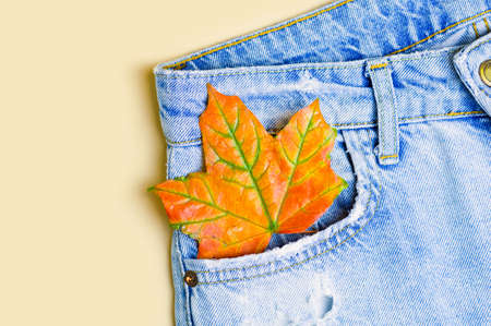 Orange maple autumn leaf in jeans pocket. Denim texture. Autumn concept. Flat lay. Copy space. Close up.の写真素材