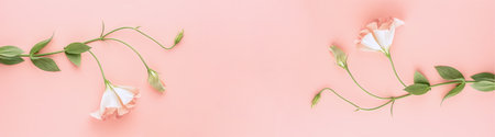 Beautiful pink eustoma flower, lisianthus with green leaves. Pink floral background. Flat lay. Banner format.の写真素材