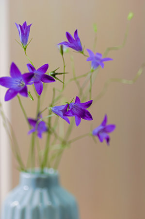 A close-up of vibrant purple bellflowers in a textured blue ceramic vase. Vertical crop. Selective focus.の写真素材