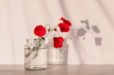Minimalistic composition of vibrant red poppy flowers in a glass jar filled with water, casting soft shadows on a light beige background.の写真素材