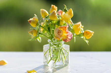 A close-up of vibrant yellow rose buds with soft petals arranged in a clear glass vase, placed on a white surface with a blurred green background.の写真素材