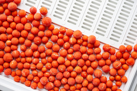 A close-up of frozen cherry tomatoes arranged on a white tray. Perfect for themes of food...