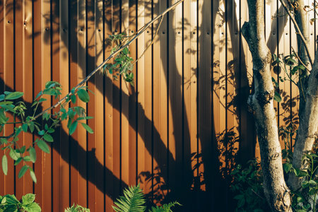 Golden sunlight casts the shadow of a tree with leafy branches onto a brown metal fence in a summer garden. Ferns and dense green foliage in the foreground create a peaceful, natural atmosphere.の写真素材