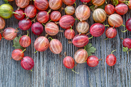 The ripe organic berries have a vibrant color and healthy texture, perfect for natural food concepts.の写真素材