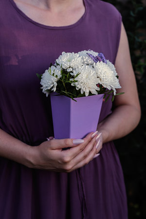 Chic white chrysanthemum bouquet in purple gift boxの写真素材