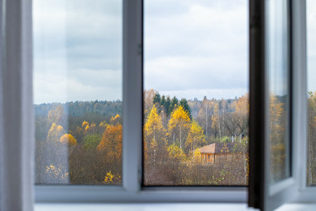 Panoramic view of colorful autumn forest, golden birch trees and cozy wooden house, seen through open window. Bright foliage, overcast sky and peaceful countryside mood.の写真素材