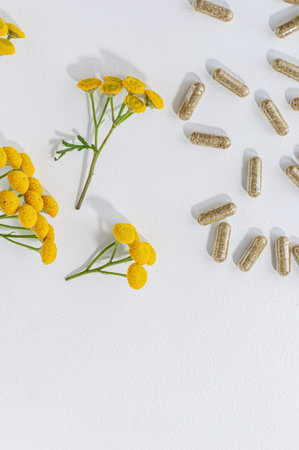 Tansy flowers (tanacetum vulgare) and herbal antiparasitic capsules on a light background. Ideal for...