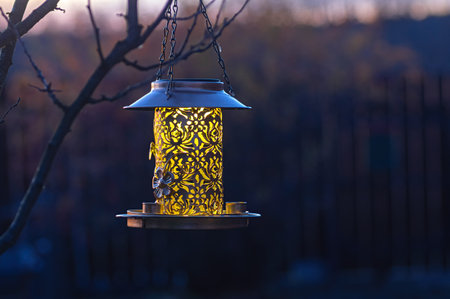Golden bird feeder lantern softly glowing in garden at dusk. Elegant evening accent lighting outdoors, hanging decor for wildlife and birds.の写真素材