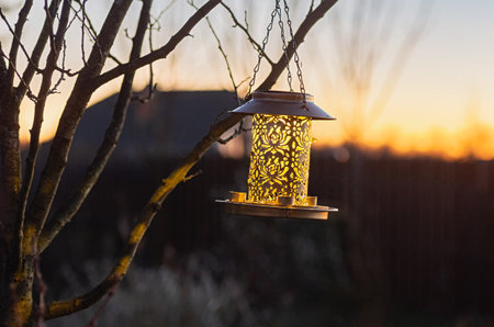 Bronze bird feeder lantern glowing against a golden sunset, casting intricate silhouettes on the tree. Outdoor garden decor, evening nature scene, atmospheric lighting.の写真素材