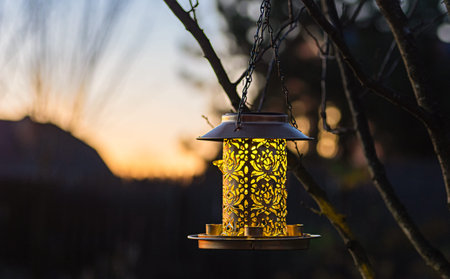 Bronze bird feeder lantern softly glowing at sunset on a tree. Evening outdoor decor adds warmth and...