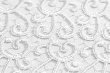 White lace embroidery texture with swirl ornament on sheer mesh fabric. Elegant bridal textile...