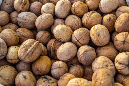 Walnut. A lot of nuts.の写真素材