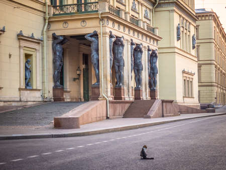 Streets of the city of St. Petersburg. Cities of Russia. Hermitage. White nights in Petersburg. Atlanta. Architecture of St. Petersburg.の写真素材