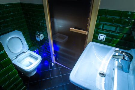 Dressing room. Toilet and sink. Decorating the room with green tiles.の写真素材