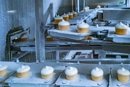Ice cream making. Shop freezing. Conveyor in the refrigerator. Food industry. Ice cream production line. Converter. Ice cream in a cup. Frost.の写真素材