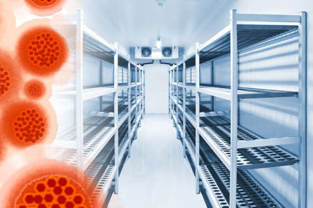 Empty shelves in the warehouse and coronavirus molecules. The panic is caused by a coronavirus. People are afraid of the rapid spread of diseases. Measures to combat Covid-19.の写真素材