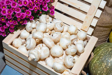 Champignons in the box. Mushrooms in the shop window. Harvest. Growing mushrooms for sale. Vegetable shop. Vegetarian food.の写真素材