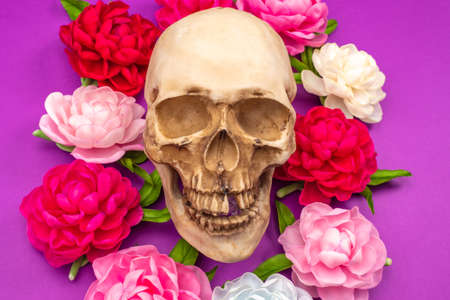 A skull and bright flowers on a lilac background. Day of the dead. Mexico. Day of the dead high-contrast concept. The celebration of "dia de los muertos".の写真素材