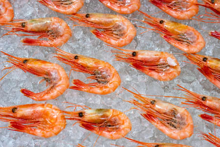 The prawns are already on ice. Seafood sales. Fish shop. Fish delicacies. Gifts of the sea. Cooking shrimp dishes. Health food. The counter for seafood. Culinary background of prawns.の写真素材