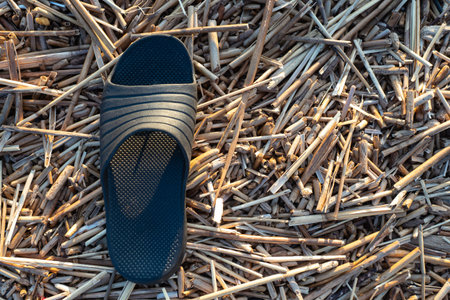 Driftwood and rubber flip-flop. Coastal landscape. Items carried out by the surf. Bathing. Seaside....