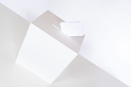 The ballot box and the ballot paper on the diagonal. White background on the election theme. The...