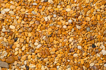 Background from beige river pebbles. River pebble texture. Pebble background for aquarium. Texture with natural fine stone. Concept - sale of decorative stone for an aquarium. Sea pebbles.の写真素材