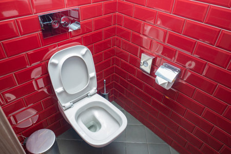 Toilet bowl close-up. Walls of WC room are decorated with red tiles. WC room in hotel. toilet bowl flush buttons are located on wall. Toilet bowl is built into wall. Concept - sale of sanitary wareの写真素材