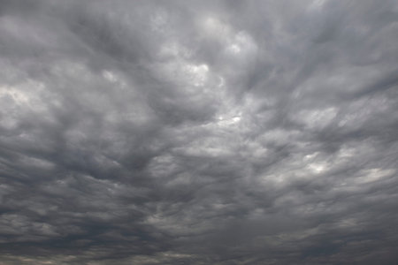 Background consists of clouds in autumn sky. Sky is covered with large gray clouds. Natural texture....