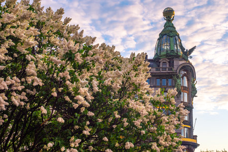 Saint Petersburg in summer. Russia. Lilac blossom on the background of the singer House. House of books in St. Petersburg. Nevsky prospect. Griboedov channel. Sights Of St. Petersburg.の写真素材