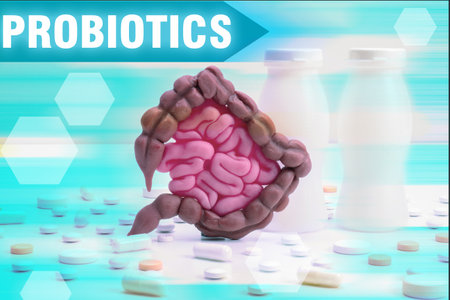 Probiotics are bacteria for intestines. Stomach and intestines of a person next to inscription probiotics. Concept - beneficial microorganisms for the stomach. Gastrointestinal health. Bowel diseaseの写真素材