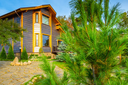 Coniferous tree in front of cottage. Two-storey house on a summer day. Landscape of territory near cottage. Decoration of territory next to house. Landscape design services. Designer services.の写真素材