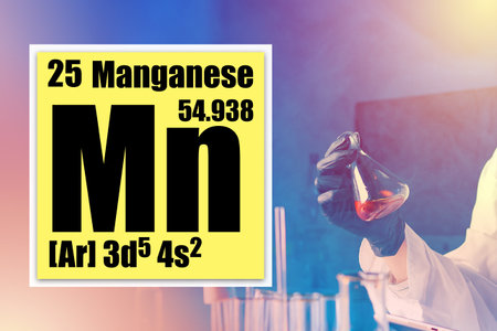 Mn. Manganese Description of the chemical properties of manganese in the cell. Cell MN from the periodic table. Lab technician experimenting in the workplace. Chemist holds a test tube with manganeseの写真素材