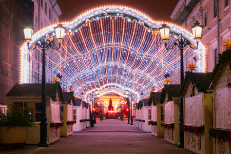 Winter Saint Petersburg. Christmas Russia. Ekaterininsky square in Saint Petersburg. Russian city on winter night. Christmas shops in evening Petersburg. City of Russia is decorated for new yearのeditorial素材
