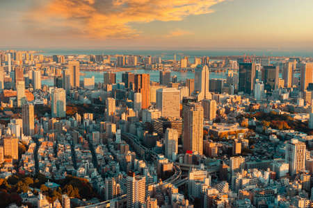 Tokyo at sunset. Evening in Japan. Japanese capital from a height. Life in a big city. Panorama of Tokyo. Tokyo streets from a bird's-eye view. Buildings in Japan. View of Japanese city from droneの写真素材