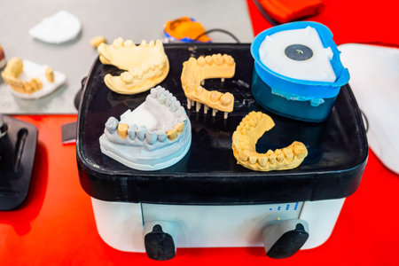 Dental prosthetics. Production of forms for prostheses. Models of human jaws. Visual aids for...