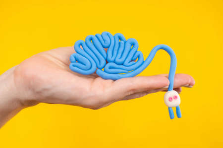 Abstract brain with electric plug. Mental activity. Brain, creativity, a new idea. Turn on your brain. Brain attack. A woman holds a model of a human brain in the palm of her hand. Mental abilities.の写真素材