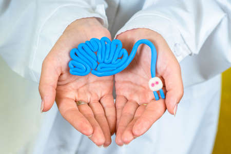 Human brain. Brain health. Brain mockup in doctor hands. Cerebral charging and Mental rest. Plug and cable leads to plastiline meanders. Human anatomy. Anatomical model. Blue cerebrum with plugの写真素材