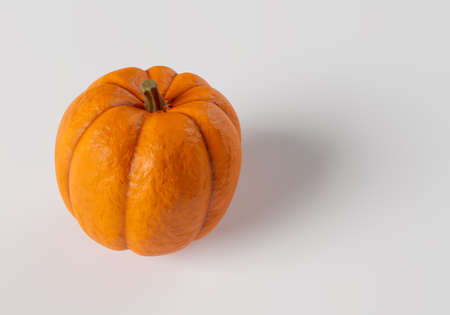 Pumpkin isolated on white background. Halloween pumpkin on a light background. Orange pumpkin for carving Jack lantern. Vegetables, cooking, harvest, vegetarianism. 3d image with place for textの写真素材