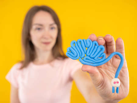 Brain charging and mental rest. Plug and cable leads to plastiline meanders. Creative idea, thinking. Healthy brain. Brain mockup on female hands.の写真素材