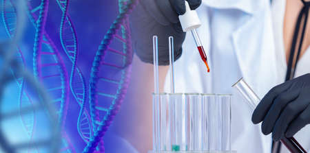 Genetic engineering concept. DNA modification in laboratory. Hands of a laboratory assistant next to DNA helixs. Experiments with changing dna helixs. Genetic engineering experiments in labの写真素材