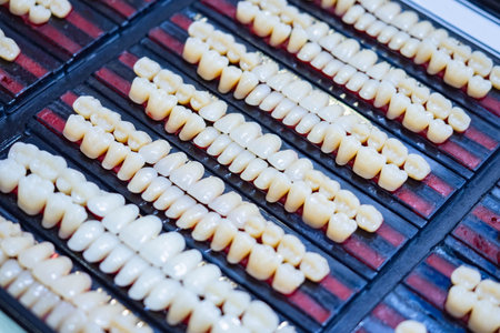 Various human teeth on a black background. Several sets of human teeth. Artificial teeth for...