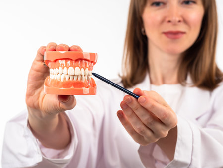 Dentist demonstrates typodont. She hands dental model to her jaw. Blurred girl dentist in...