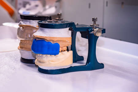 Articulator for teeth modeling. Dental articulators fixed dentures. Die-cast aluminum anatomical articulator. Dental equipment. Dentistry tools development of prostheses. Equipment dental prosthetistの写真素材