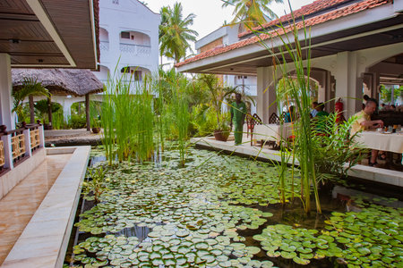 Kenia. Africa. Mombasa. Pond at the Kenya hotel. Komysh. Pitchers swim in the pond. Pond on the territory of the hotel. Restaurant on the hotel terrace. Tourists have breakfast. Tourism. January 11, 2006のeditorial素材
