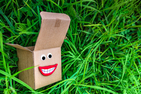 A miniature box lies in the grass.A box on the lawn.Box for goods on the lawn.Corrugated packaging...