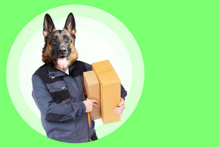 Business delivery. Delivery man with dog's head. Art portrait on theme of delivery. Courier with boxes in his hands. Portrait of human dog on green background. Work in courier business.の写真素材
