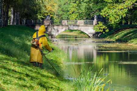 City Pushkin. Russia. Tsarskoye Selo. Alexander Park. Man mows the lawn. Landscapes with Pushkin....