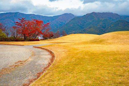 Japan. Yagizaki Park. Park near Kawaguchiko Lake. Japanese landscape. Walks in the Yagizaki Park....