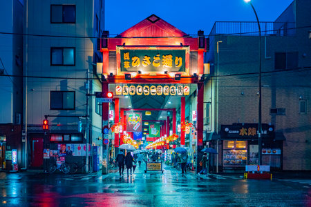 Japan. Japanese walk around Tokyo at night. People go to the pedestrian street. Japanese streets at night. People at the night market in Tokyo. Japanese people with umbrellas. 11.22.2019のeditorial素材